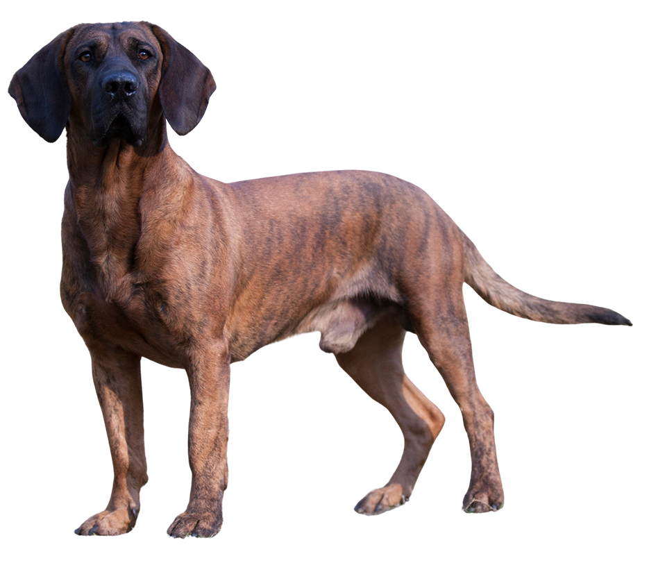 AdobeStock_179953806 AdobeStock_179953806