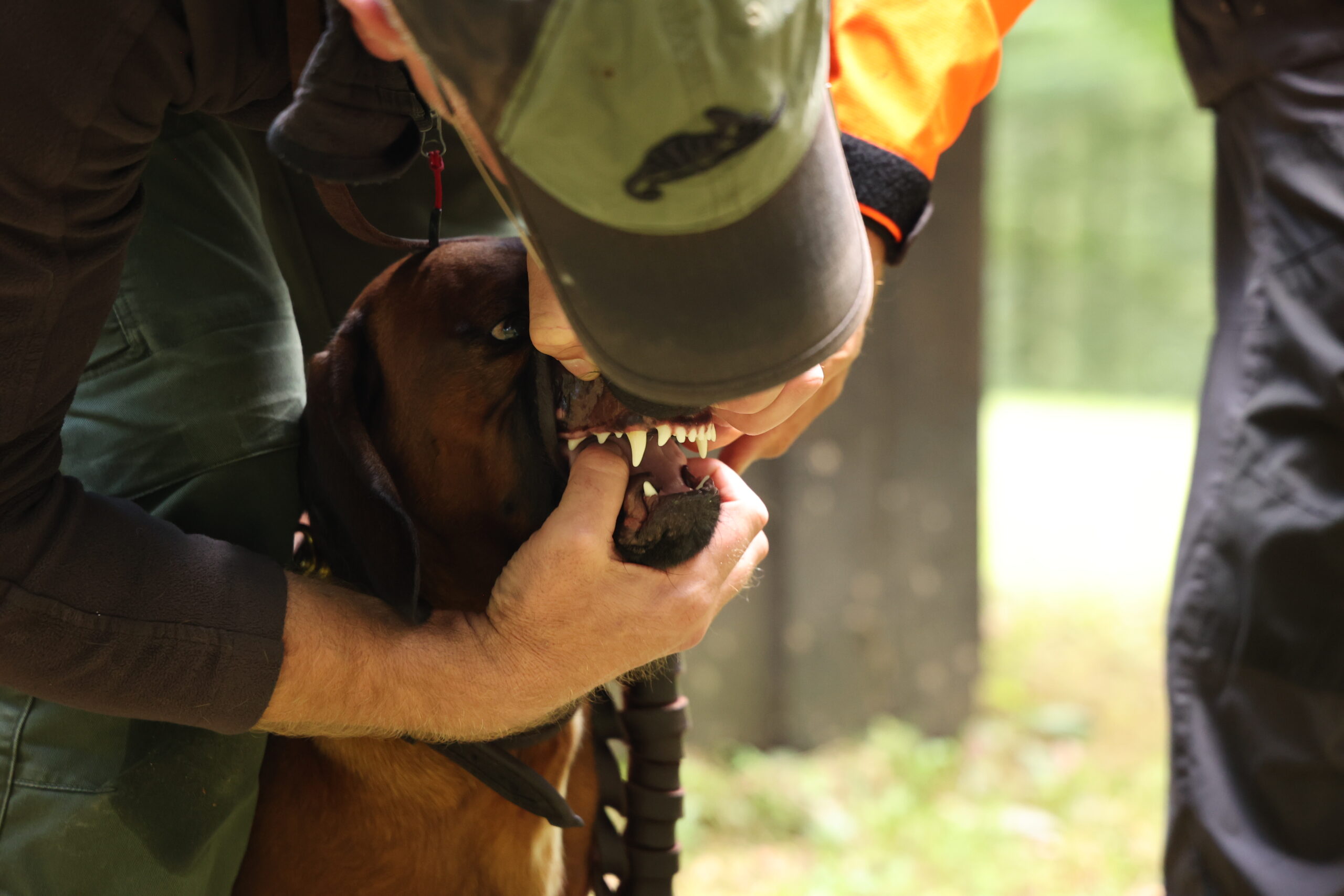 Pruefung_HM_Lotz_25m