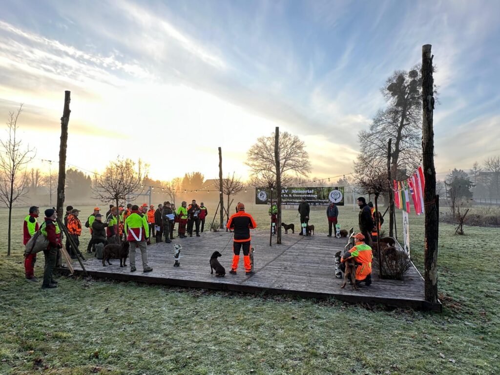 International besetzte Suchengespann